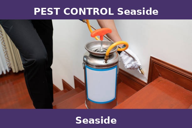 PEST CONTROL Seaside